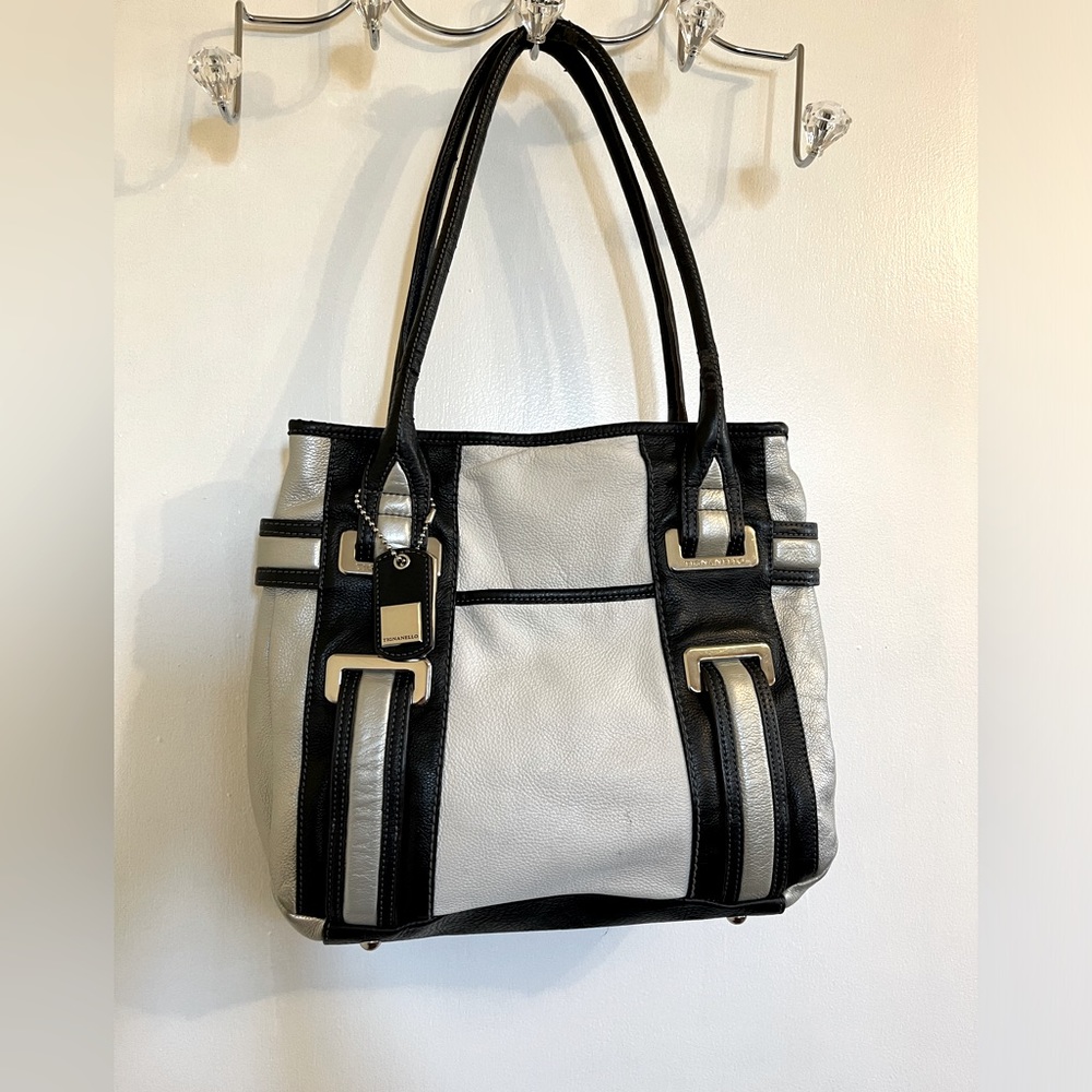 Tignanello bag purse